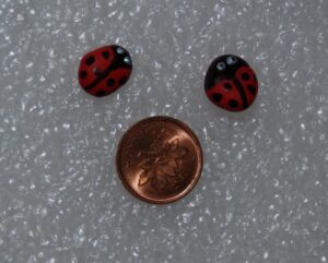 Ladybugs | Fairy Project Blog | GardenFairies.ca